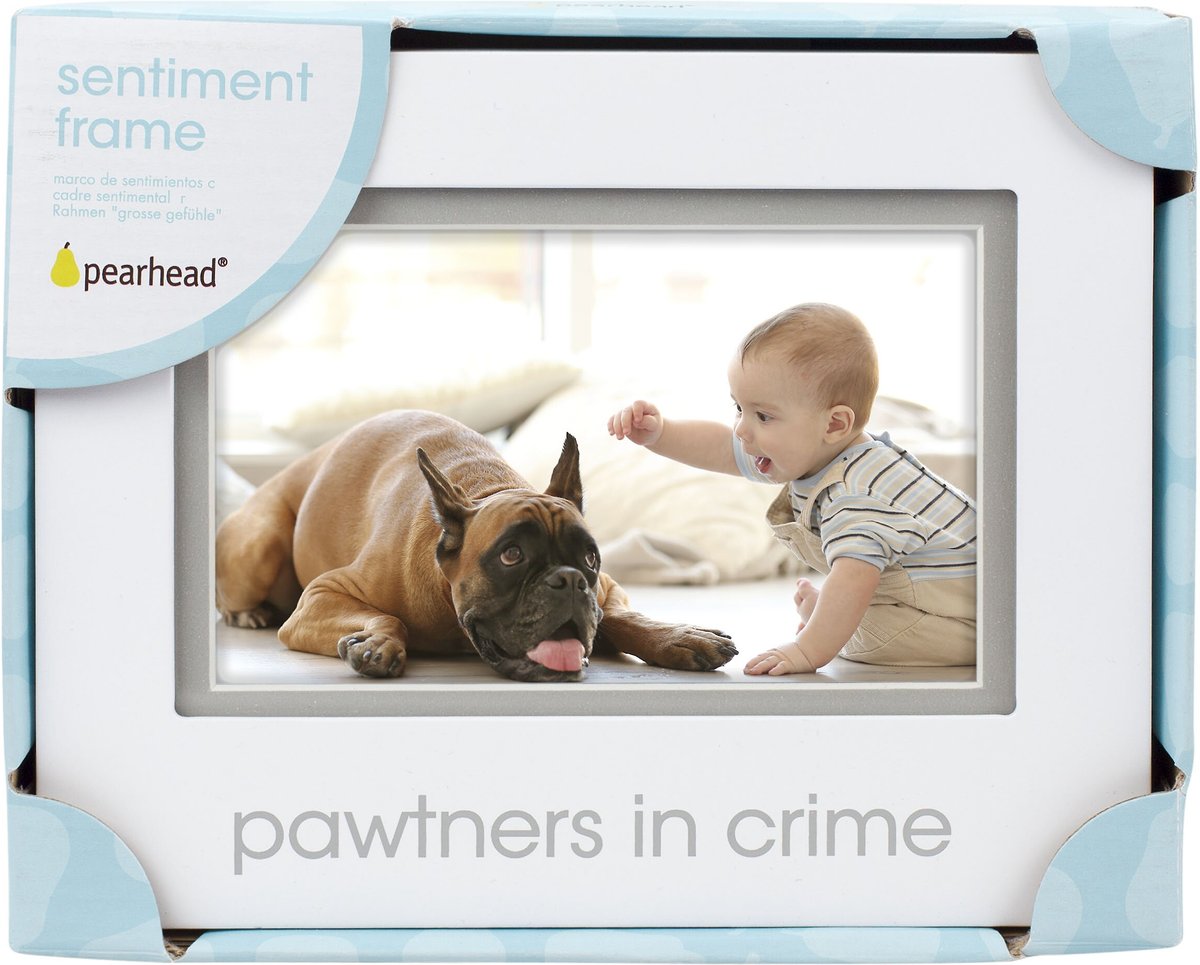 Pearhead Pawtners In Crime Sentiment Frame， 6 x 4-in