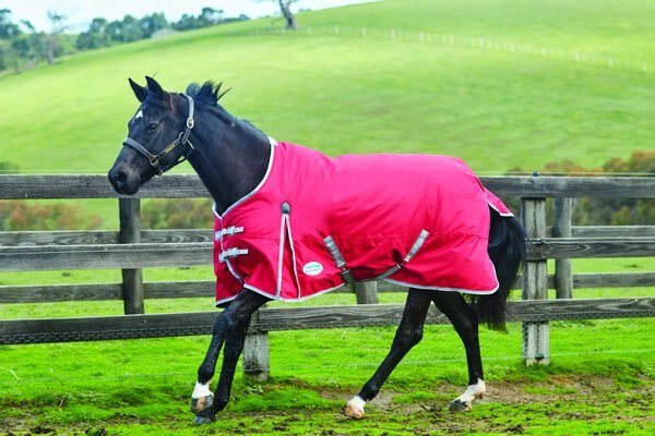 WeatherBeeta Comfitec Classic Standard Neck Medium Horse Blanket