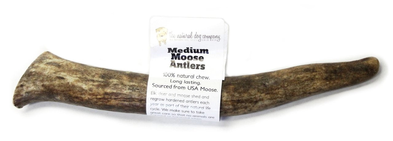 Tuesdays Natural Dog Company Moose Antler Dog Chew