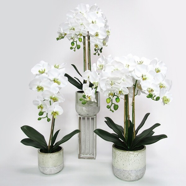 White Artificial Phalaenopsis Orchid Flower Arrangement in Half Glazed Ceramic Pot 22in