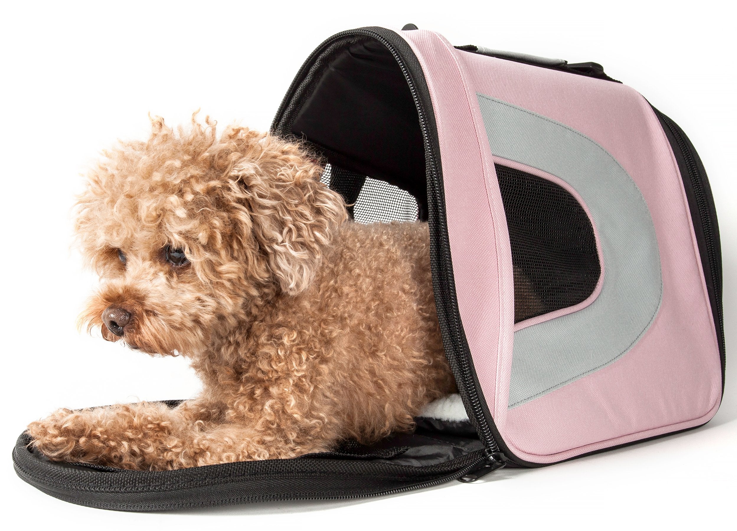 Pet Life Airline Approved Folding Sporty Mesh Carrier