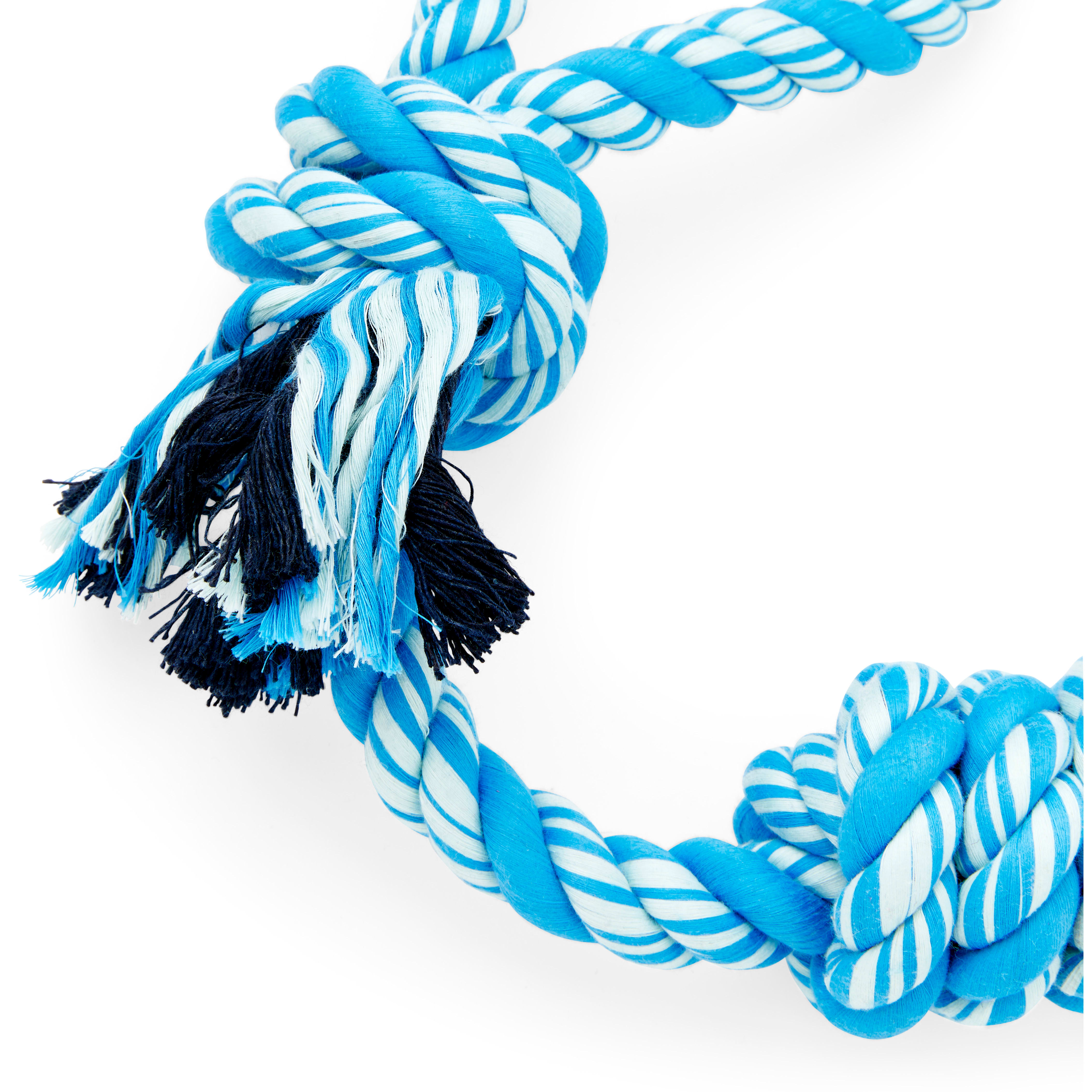 Leaps  Bounds Blue Twisted Rope Dog Toy， XX-Large