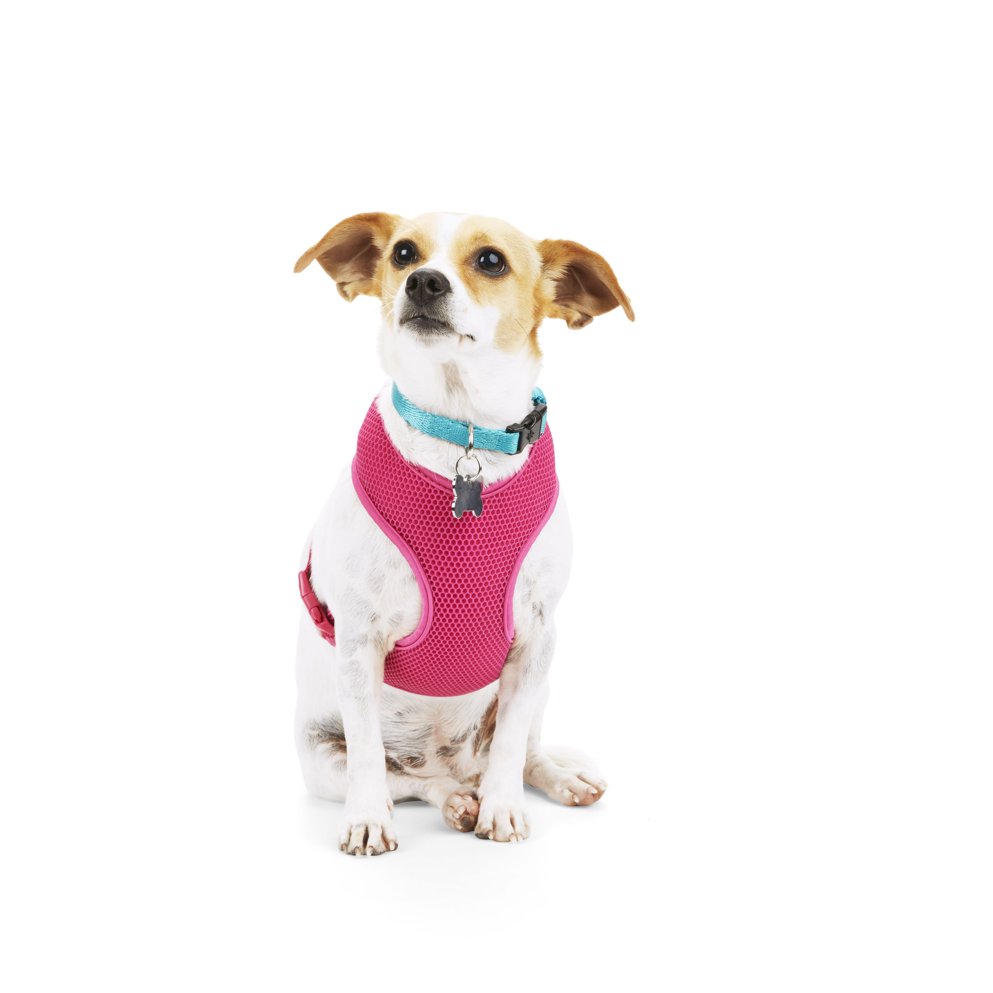 YOULY The Classic Hot Pink Mesh Dog Harness， X-Small