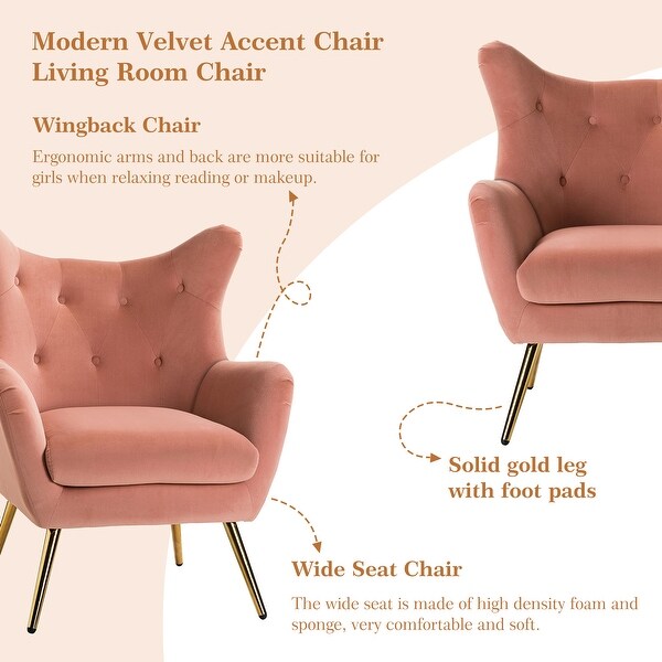 Eusebio Tufted Velvet Accent Chair with Wingback and Metal Gold Legs for Living Room Set of 2 by HULALA HOME