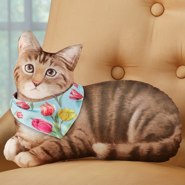 Collections Etc Cat Accent Pillow With Interchangeable Seasonal Bandanas 16 X 3 5 X 12