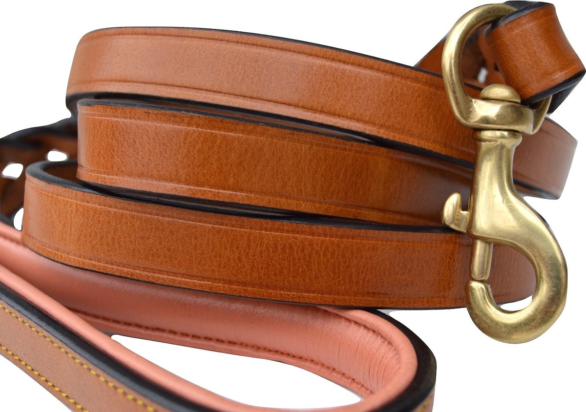 Soft Touch Collars Leather Braided Two-Tone Handle Dog Leash