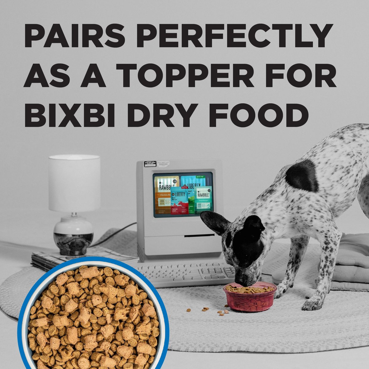 BIXBI Liberty Freeze Chicken and Salmon Recipe Dried Topper and Dog Treat， 4.5-oz bag