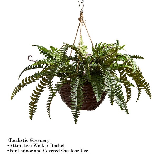 Boston Fern Hanging Basket