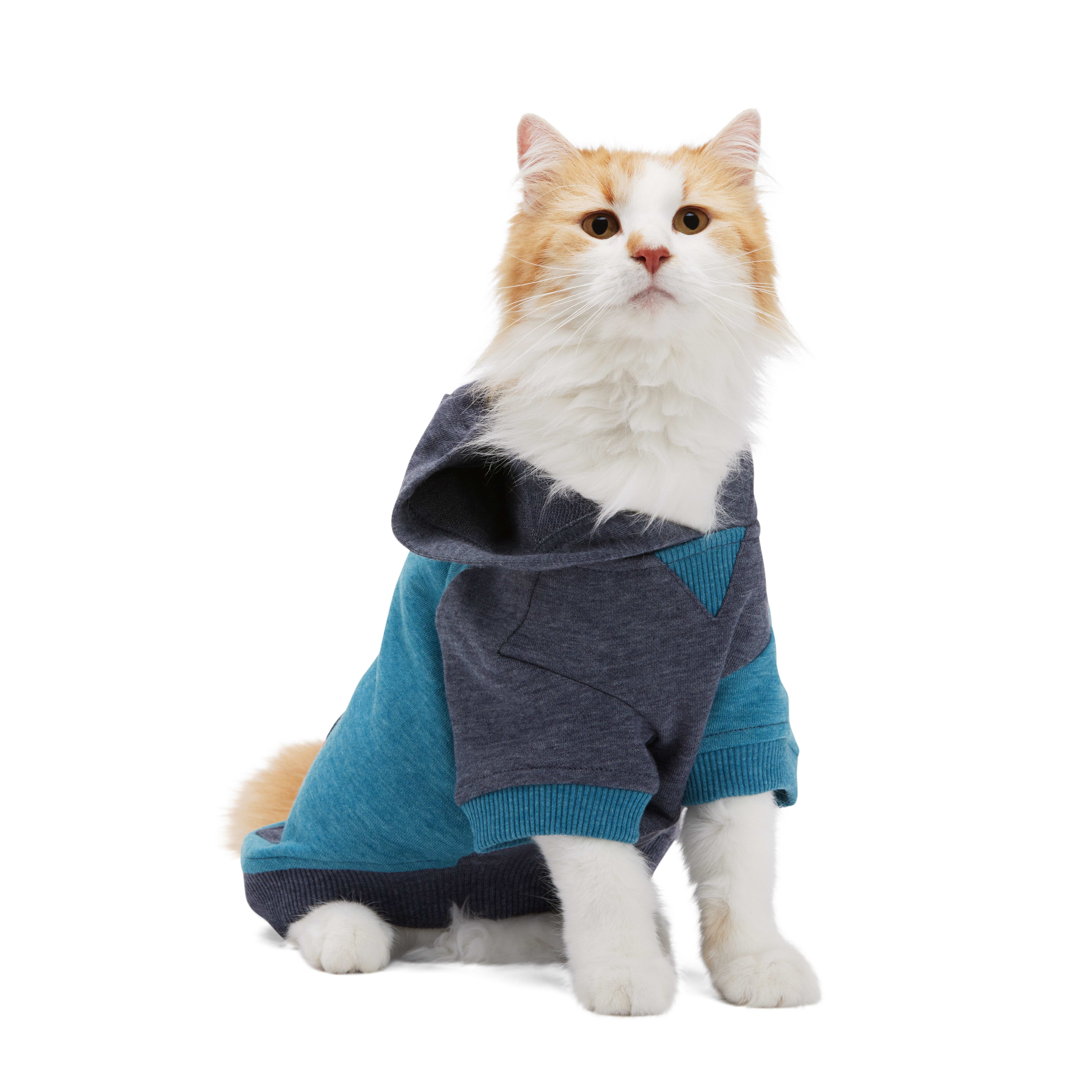 Reddy Teal Cat Hoodie， Small/Medium