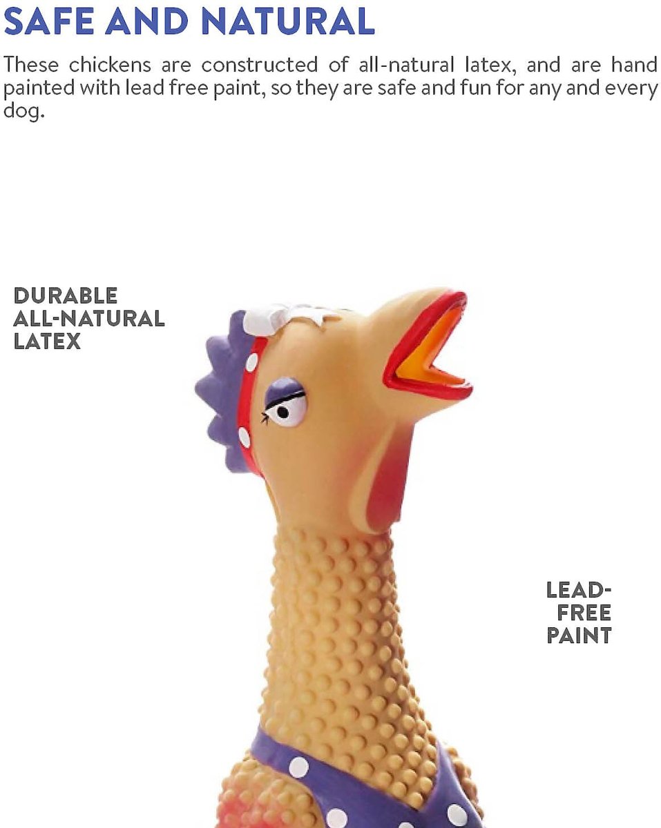 Charming Pet Squawkers Squeaky Latex Dog Toy