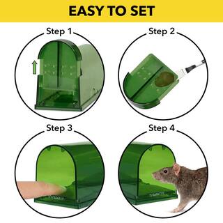 Harris Catch and Release Humane Mouse Trap (2-Pack) 2EMT-LIVE