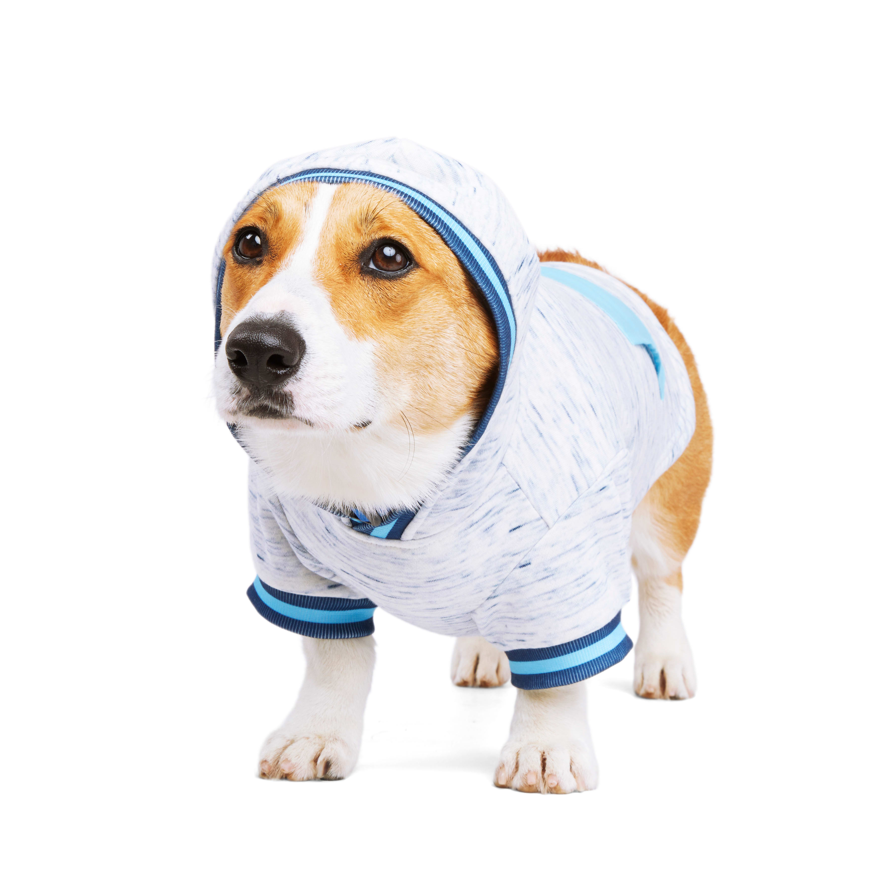 YOULY Blue Spacedye Dog Hoodie， X-Small