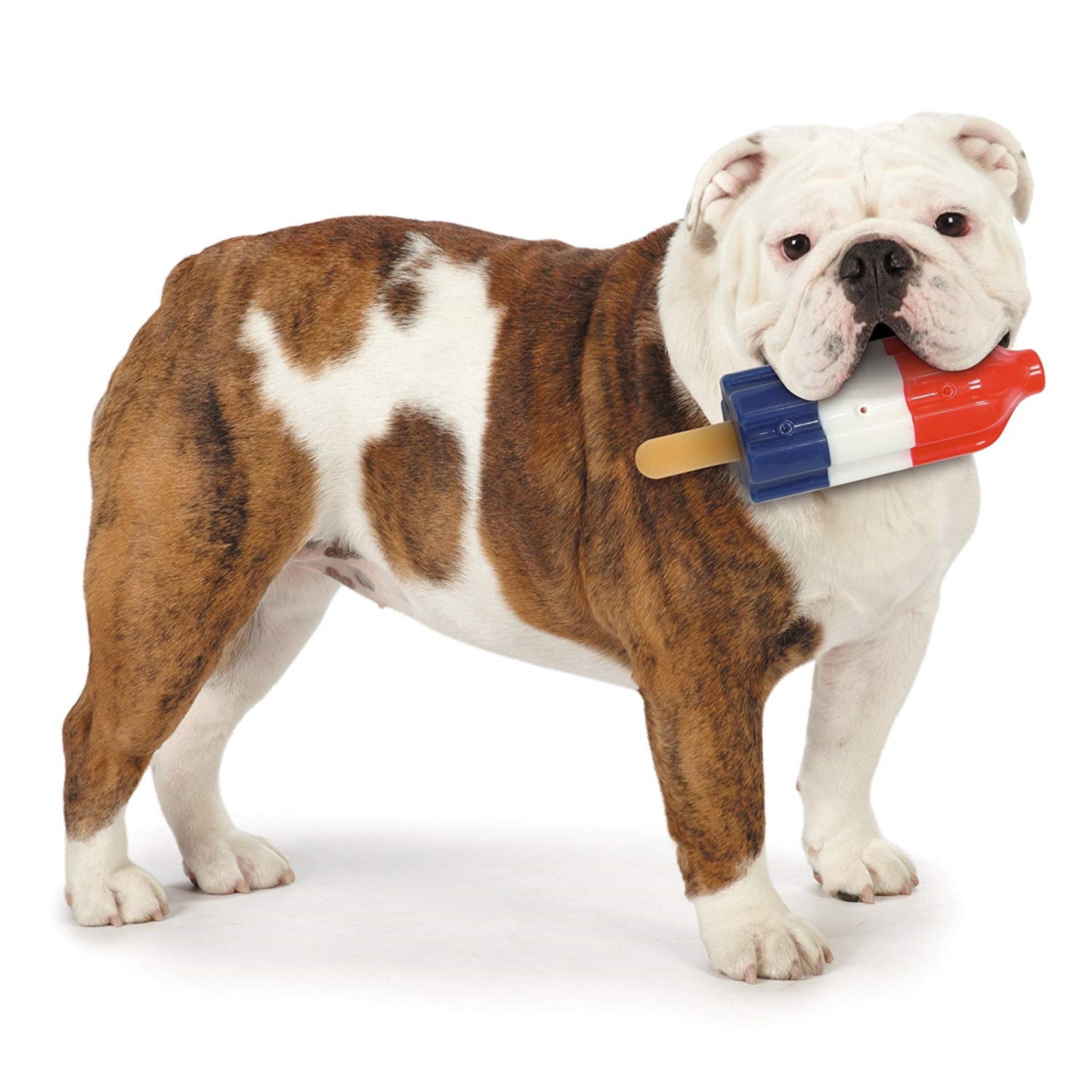 Cool Pup Rocket Pop Cooling and Hydrating Dog Chew Toy， Scented， Large