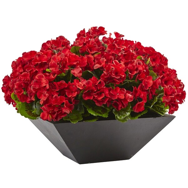 Geranium with Black Planter UV Resistant (Indoor/Outdoor)