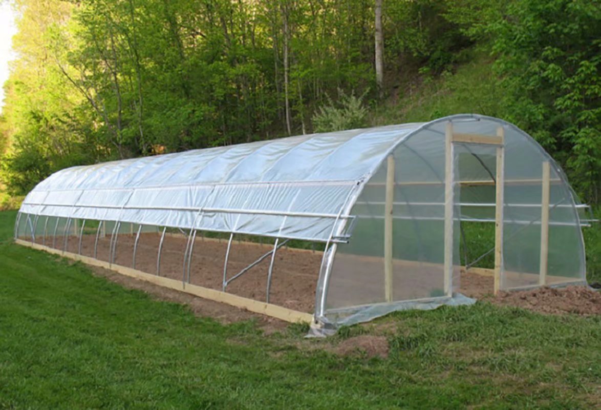 Agfabric 3.1Mil Plastic Covering Clear Polyethylene Greenhouse Film UV Resistant for Grow Tunnel and Garden Hoop, Plant Cover&Frost Blanket for Season Extension, Keep Warm and Frost Protection,12x75ft