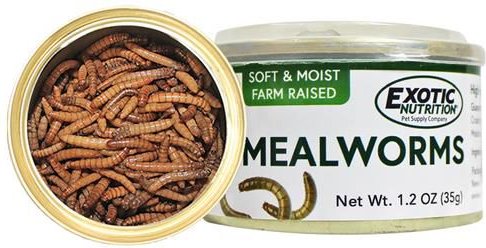 Exotic Nutrition Mealworms Hedgehog Treats， 1.2-oz can