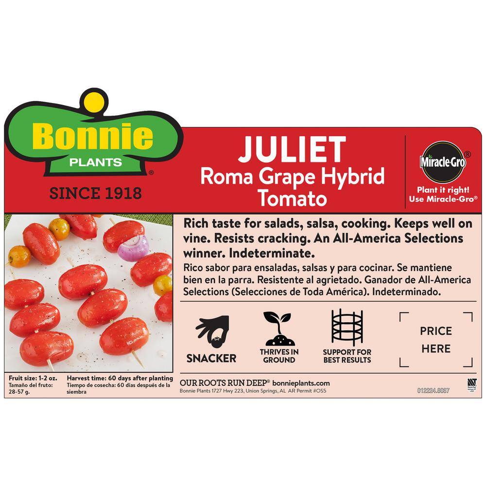 Bonnie Plants 19 oz. Juliet Roma Grape Tomato Plant 0244