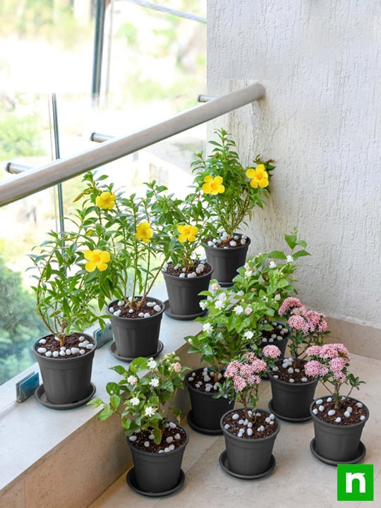 Beautiful Flower Garden in a Balcony