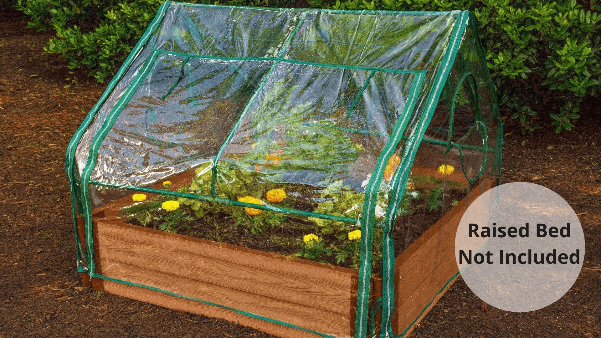 Cold Frame For Raised Bed - The 4 x 4 ‘Greenhouse’