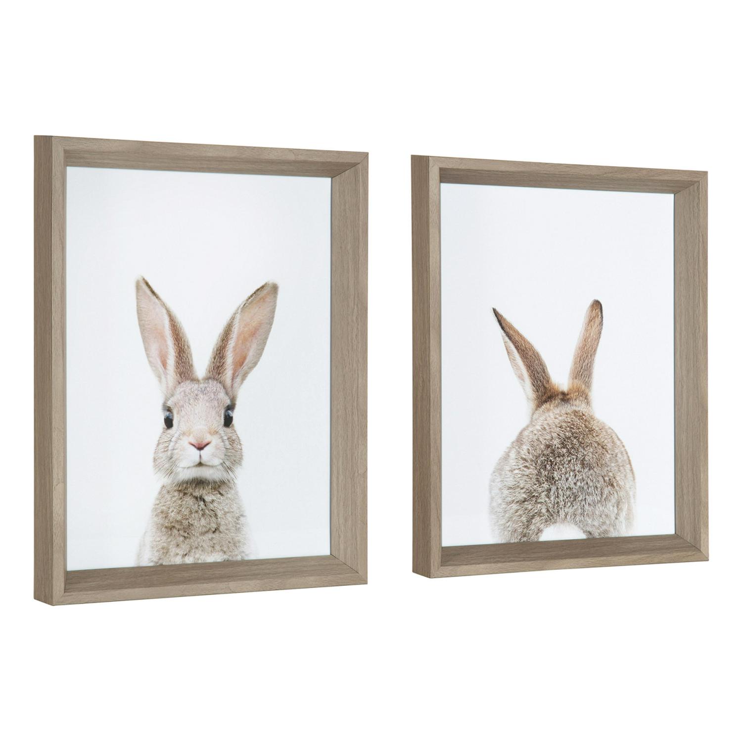 Kate and Laurel Calter Bunny Animal Prints Photo Portraits Framed Print Under Glass Art Set， 12.25 x 15.25 ， Set of 2， by Amy Peterson