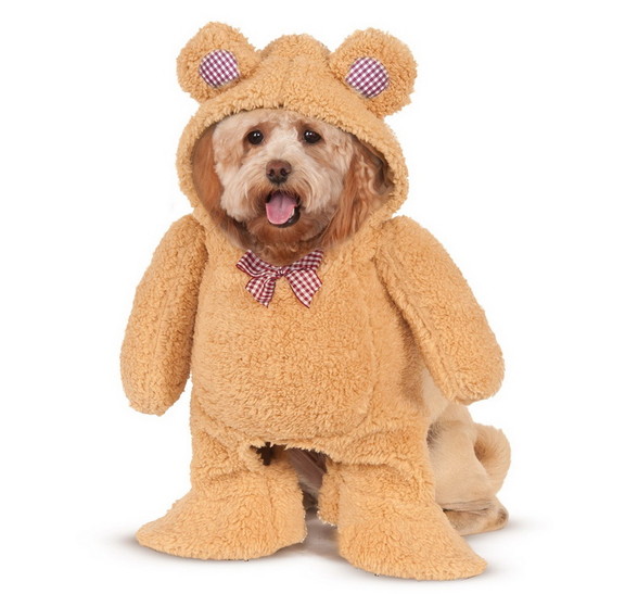 Ruby Slipper Sales 245433 Walking Teddy Bear Pet C...