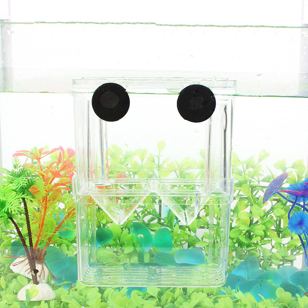 Aquarium Fish Breeder Box High Clear Double Hatching Incubator Hatchery Isolator Breeding Isolation Box