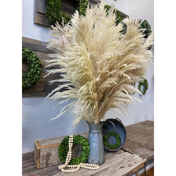 Pampas Grass Natural