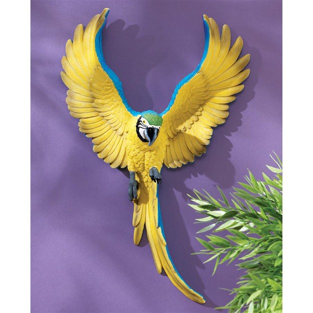 Design Toscano Phineas The Flapping Macaw Bird Wall Sculpture