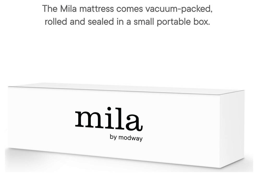 Mila 6 quotFoam Mattress   Mattresses   by Homesquare  Houzz