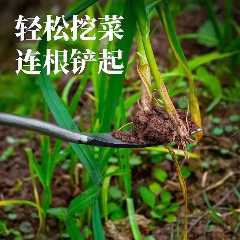 Weeding Hand Tool Garden Weeder Transplant Garlic Onion Spatula Shovel Digging Wild Vegetable Agricultural Shovel Tool