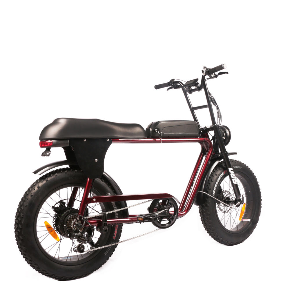 High power cycling pedal PAS 20ah lithium battery bmx cycle price in pakistan electric bicycles 250cc dirt bike cheap