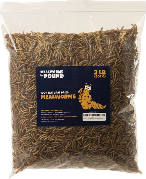 Mealworms By The Pound Mealworms Treat， 2-lb bag