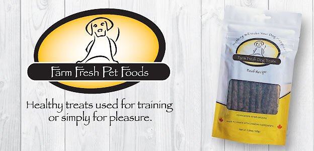 Tilted Barn Pet Company Beef Recipe Dog Treats， 3.53-oz bag