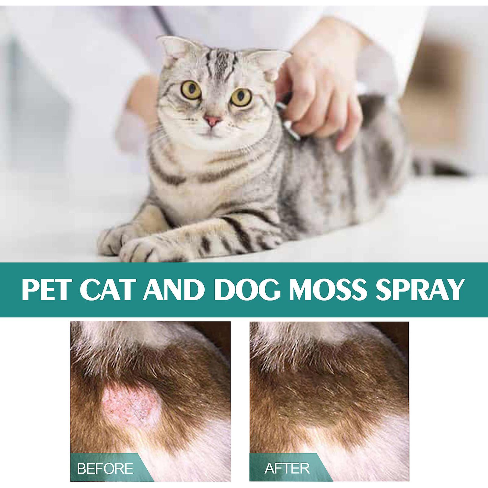 Pet Cat And Dog Moss Spray Skin Moss To Remove Mites To Relieve Pet Cleaning Care Anti-itch Spray