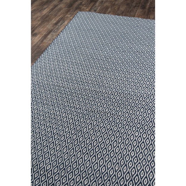 Newton Davis Hand Woven Recycled Plastic Indoor outdoor Rug Navy Erin Gates By Momeni