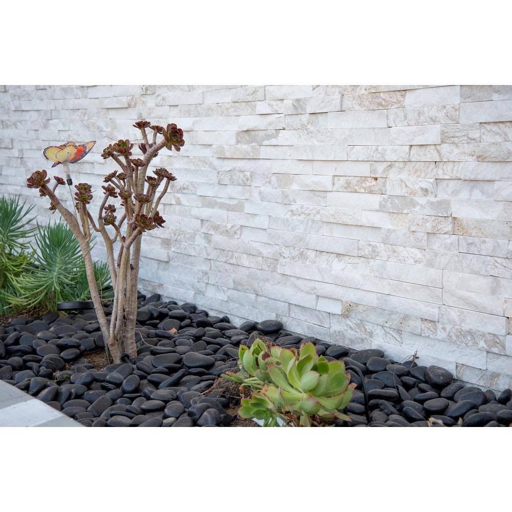 MSI Black Polished Pebbles 0.5 cu. ft . per Bag (1 in. to 2 in.) Bagged Landscape Rock LPEBQBLK5POL40