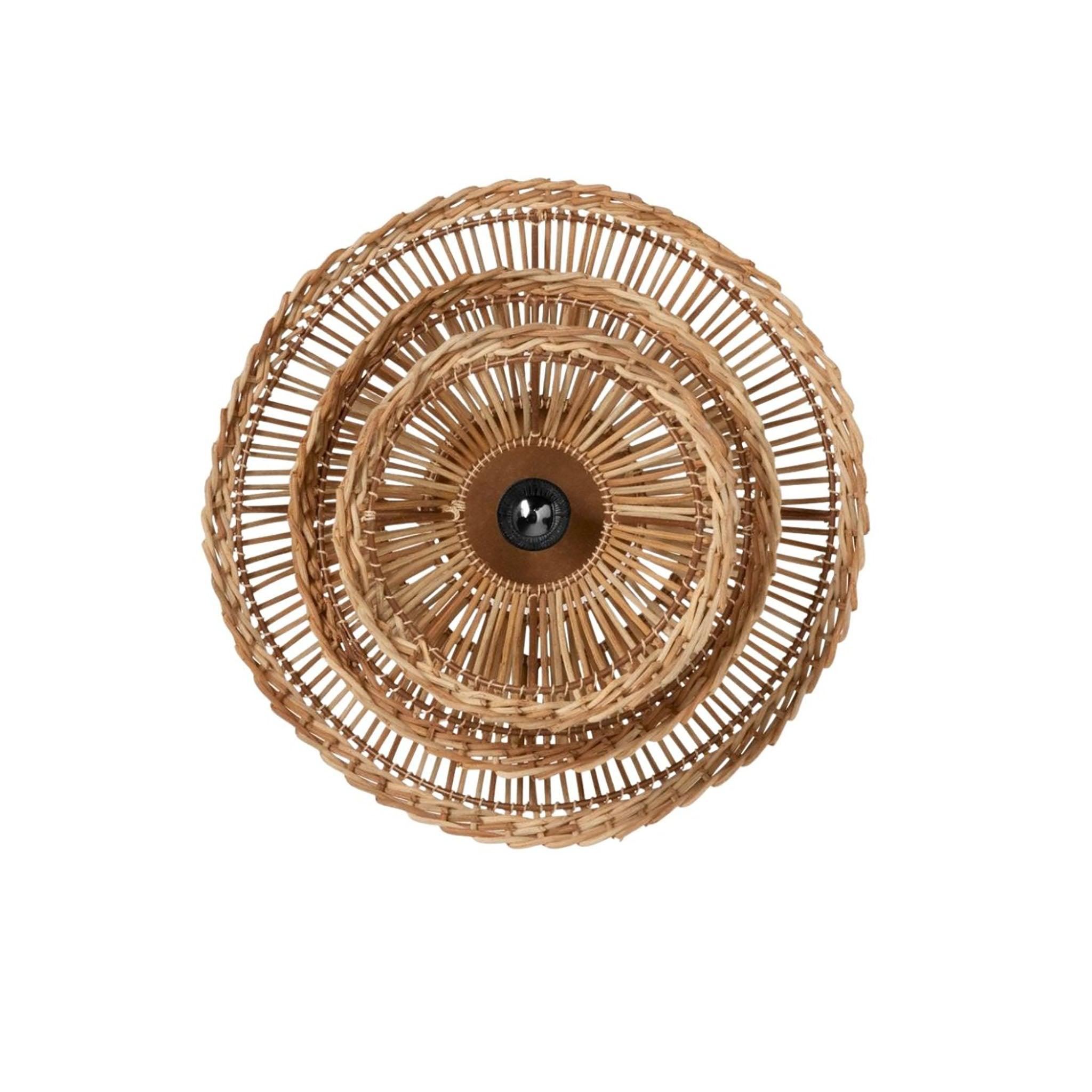 Andora Sconce