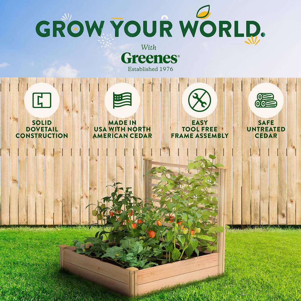 Greenes Fence 4 ft. x 4 ft. X 11 in. Premium Cedar Raised Garden Bed with Trellis RC484812PTRE