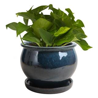 Trendspot 9 in. Dia Blue Solid Studio Ceramic Planter DB10021-09J