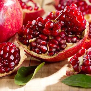 1 Gal. Parfianka Pomegranate Tree POMPAR01G