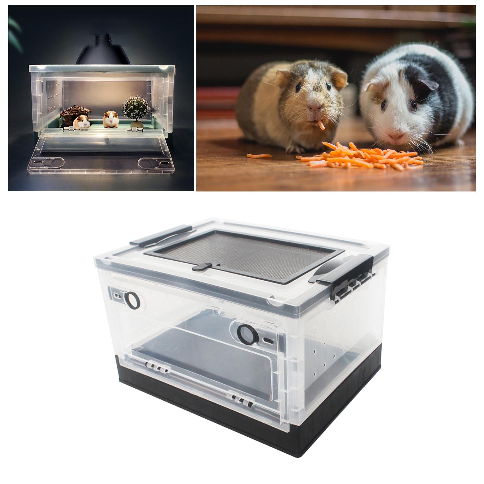 Hamster Breeding Box Foldable Reptile Feeding Box Terrarium Tank Cage Habitat Transport House for Frog Mice Scorpion ， Black