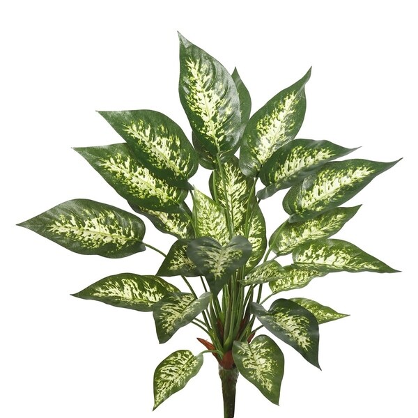 Vickerman 22 Green and White Dieffenbachia Greenery Bush