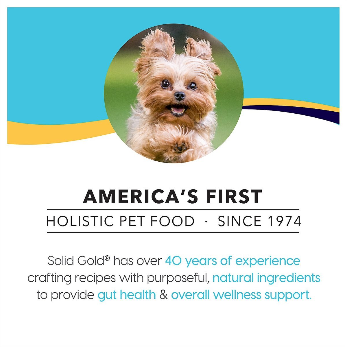 Solid Gold Mighty Mini Gut Health Small and Toy Breed Grain-Free Salmon， Lentil and Green Bean Dry Dog Food