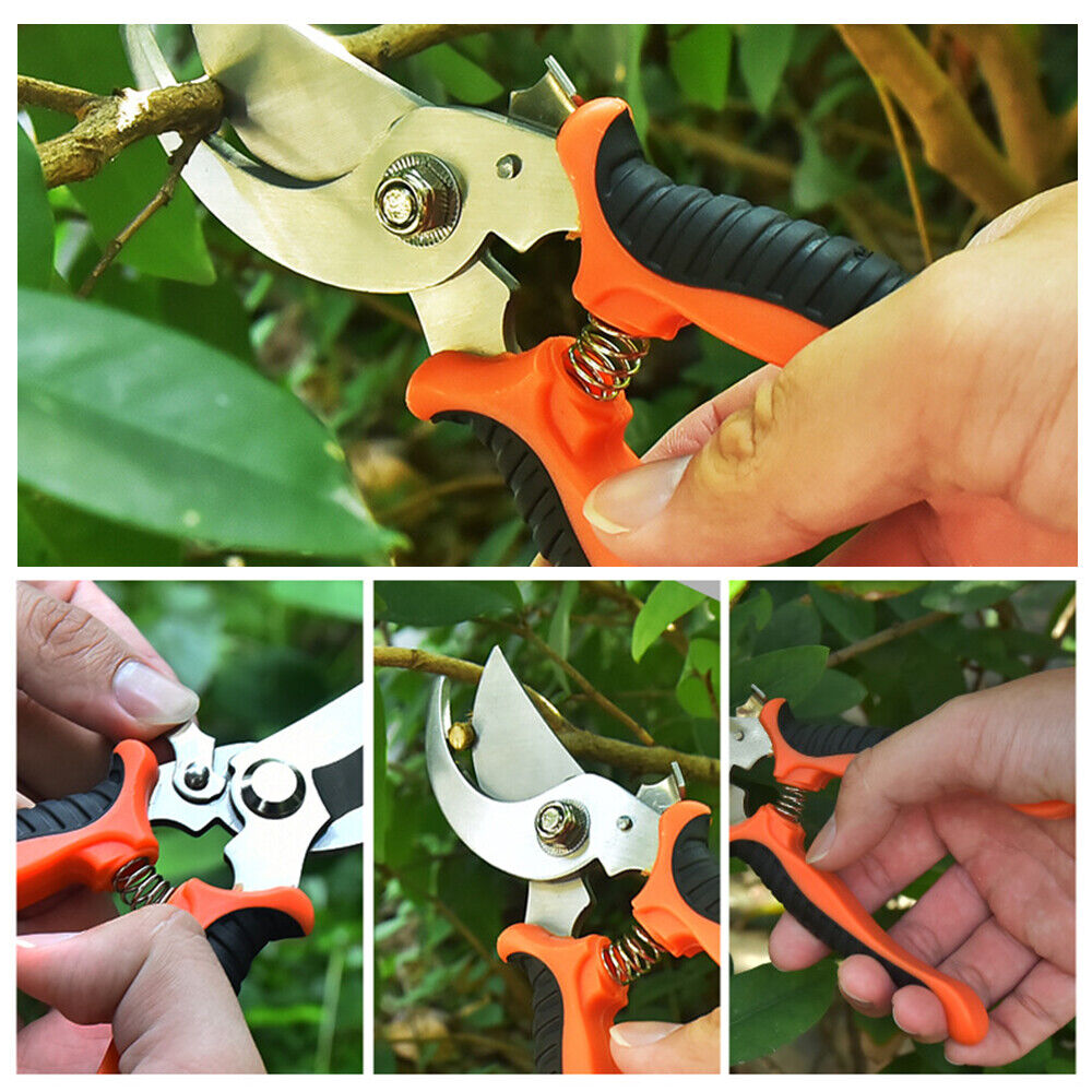 Plant Pruning Shears Garden Trimming Scissors Precision Hand Pruner Herb Snips