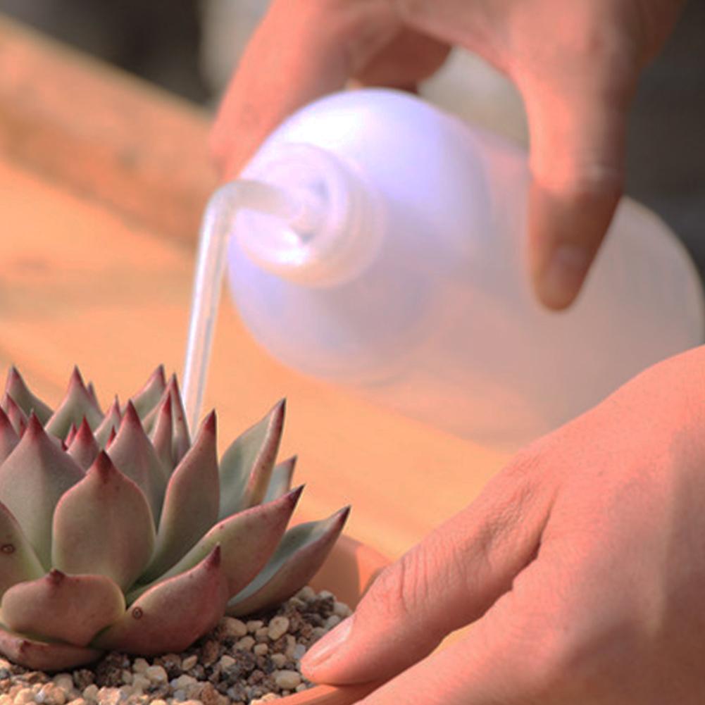 Watering Bottle 500ML - Perfect for Succulents and Cactus