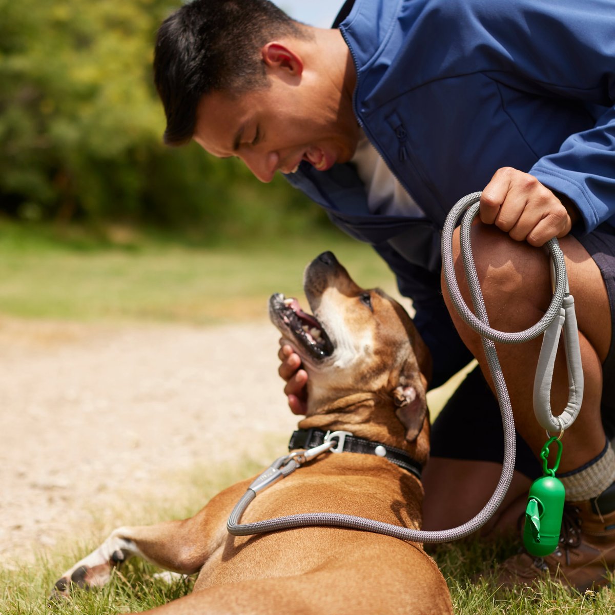 Frisco Outdoor Ultra Reflective Rope Leash with Padded Handle