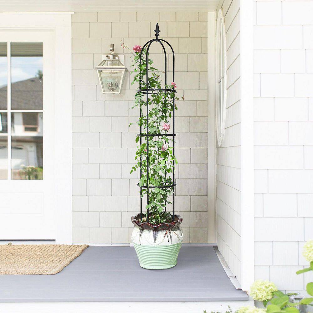 Cisvio 6.2 ft. Garden Obelisk Trellis Lightweight Rustproof Plastic Coated Metal Tall Tower Trellis Stand D0102HIRKVA