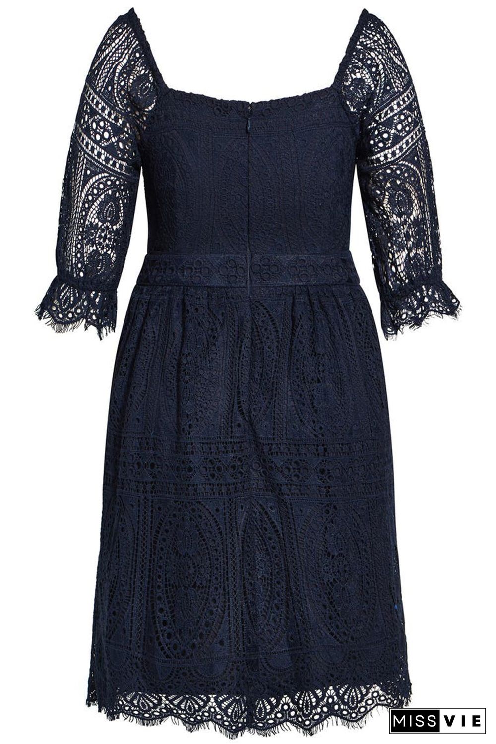 Black Eyelash Lace Square Neck Plus Size Dress