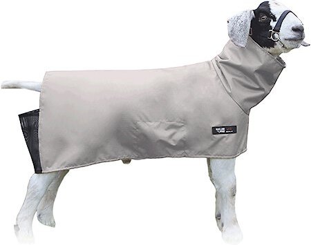 Sullivan Supply Canvas Goat Blanket