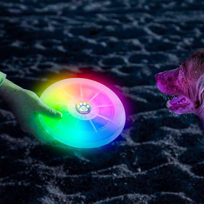 Nite Ize Flashflight Dog Discuit LED Flying Disc